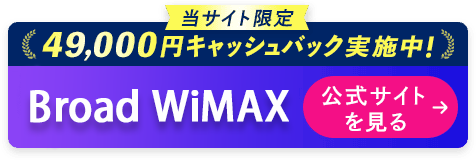 BroadWiMAX