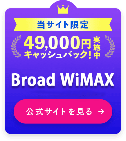 BroadWiMAX